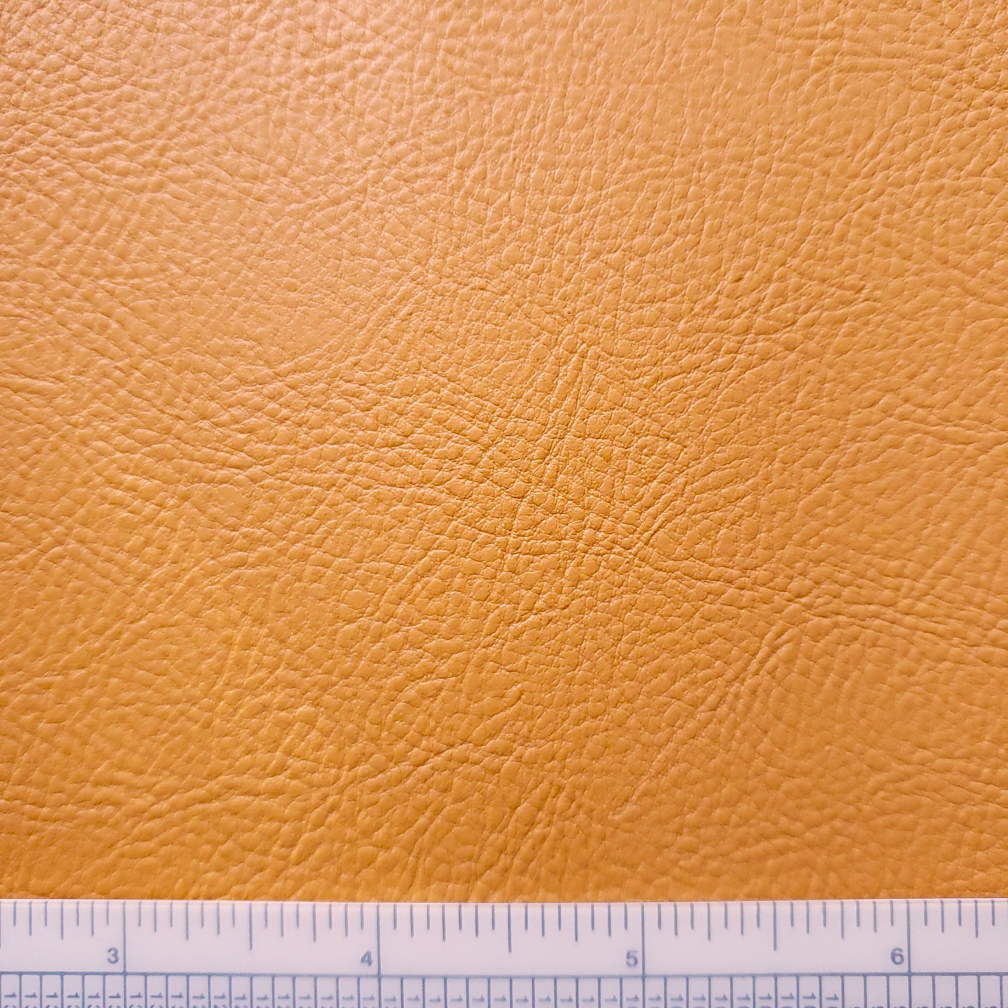 Lionness Classic Faux Leather