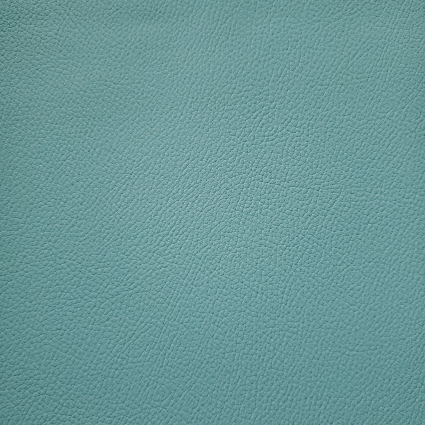 Early Morning Faux Leather
