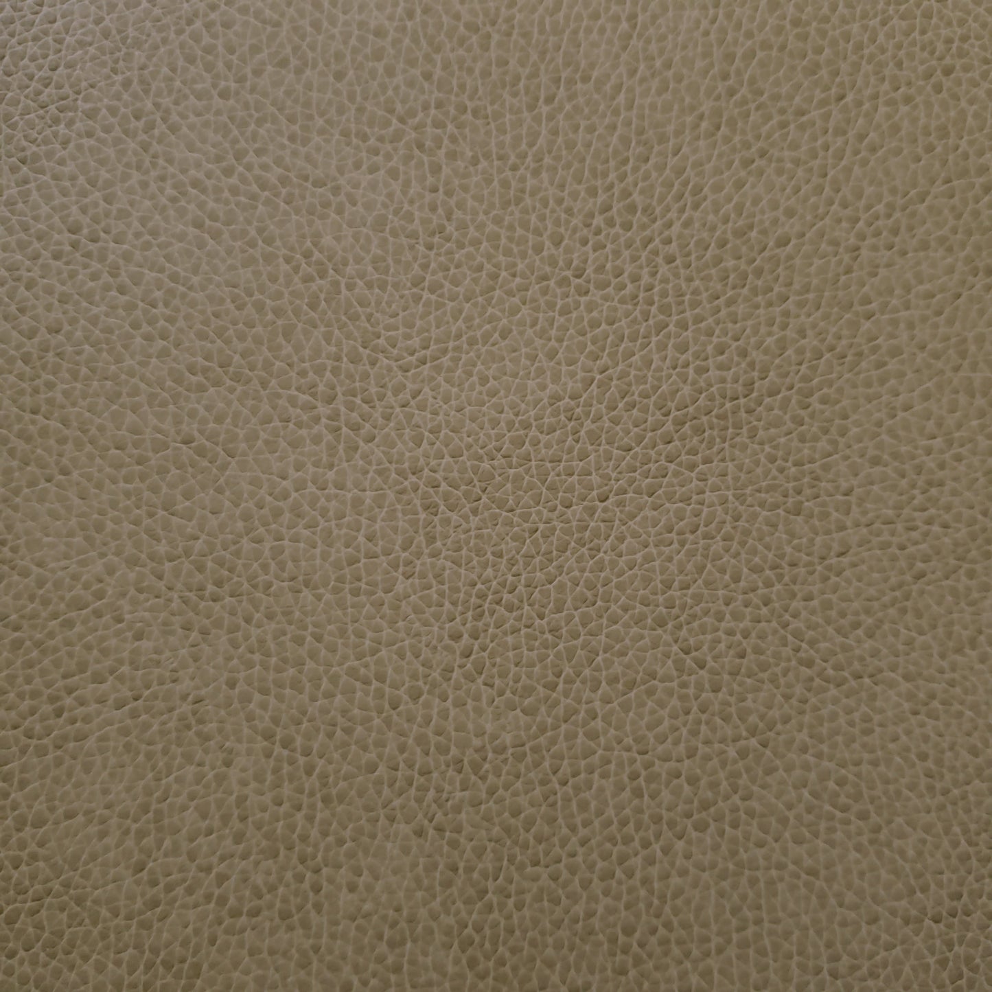 Wild Mushroom Faux Leather