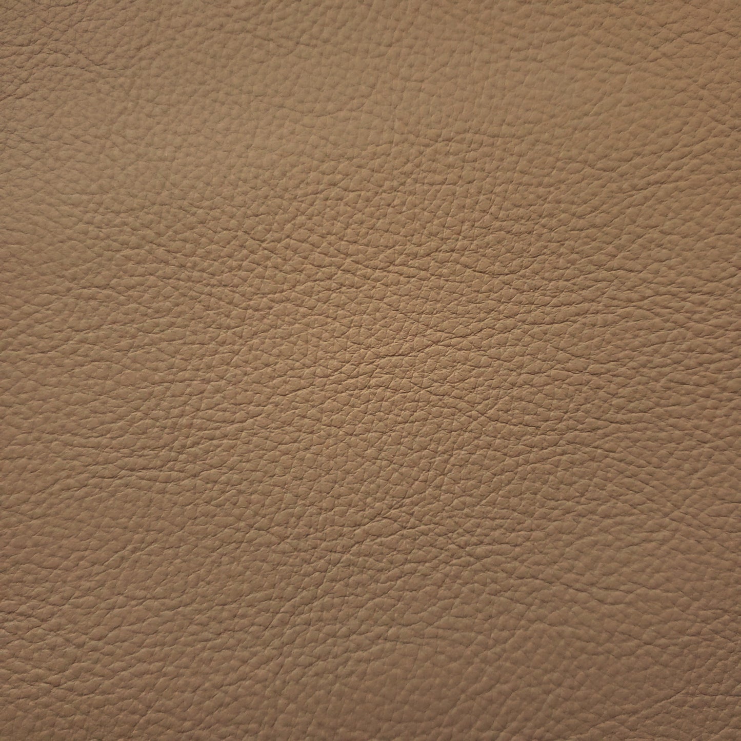 Baby Camel Leather