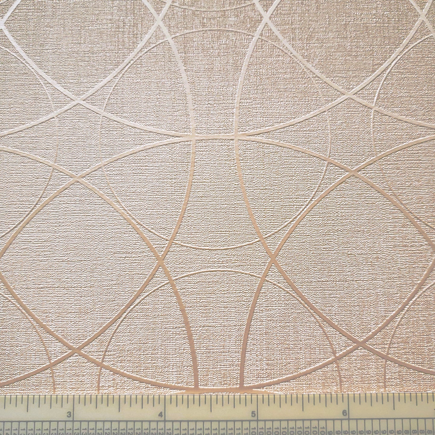 Cycling in the Sand Textured Vinyl