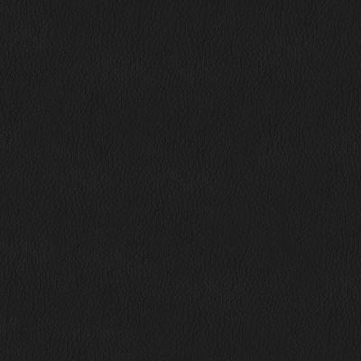 Coal-Eyed Black Premier Faux Leather