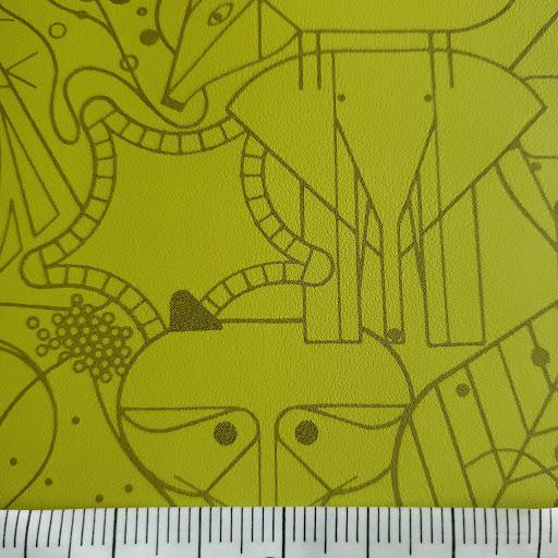 Beguiled by the Wild Tree Frog