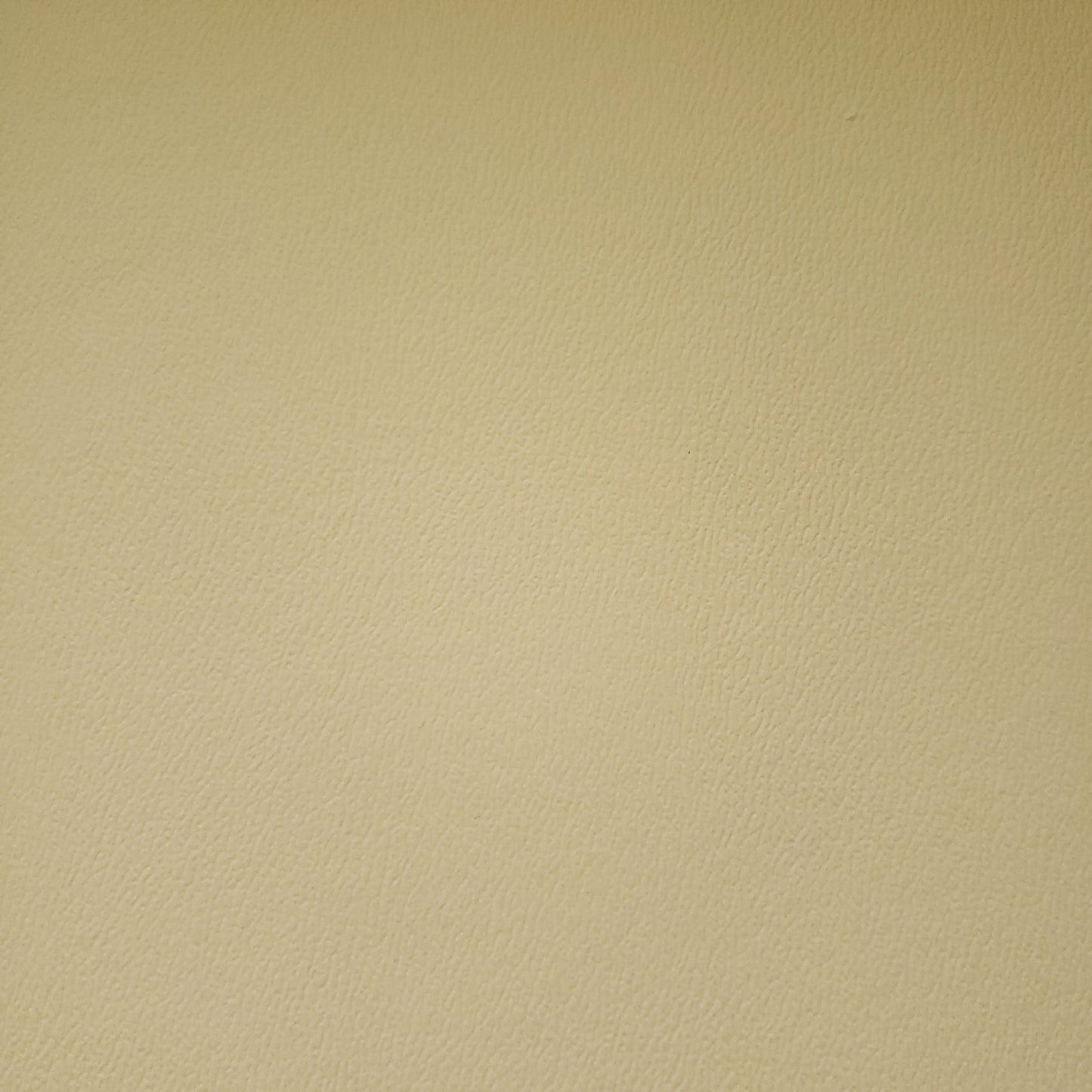 Peanut Shells Faux Leather