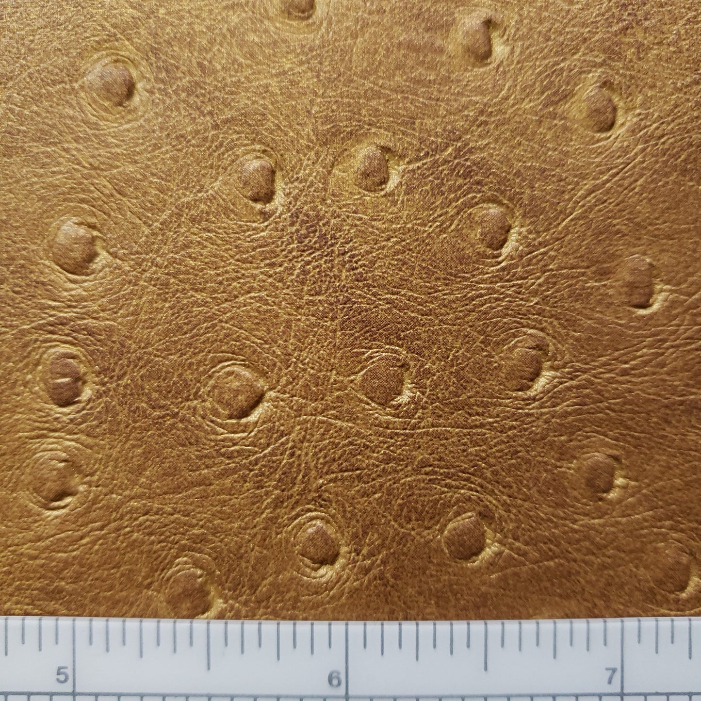 $1,000,000,000 Sun Tanned Bird Faux Leather