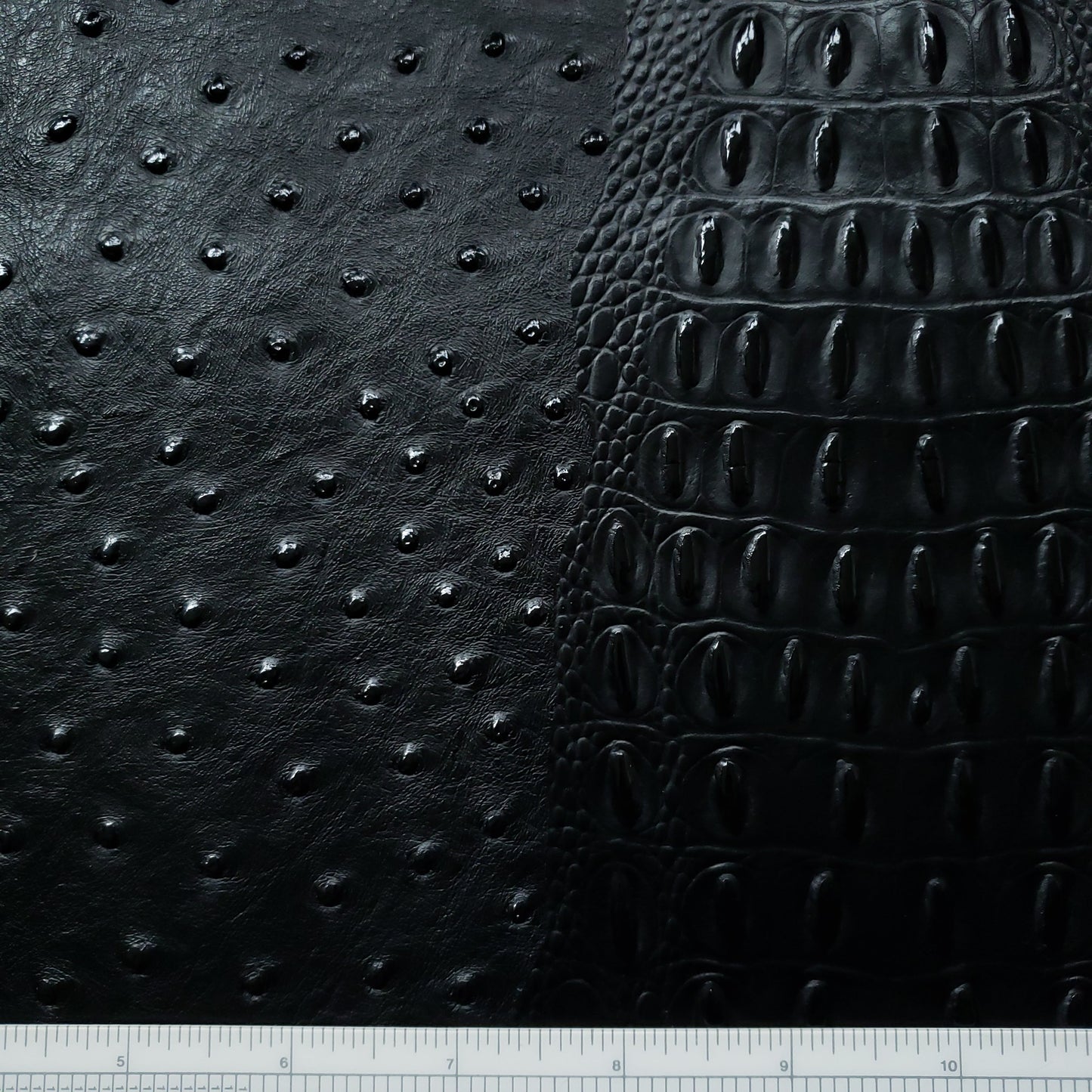 Black Night Raptor Faux Leather