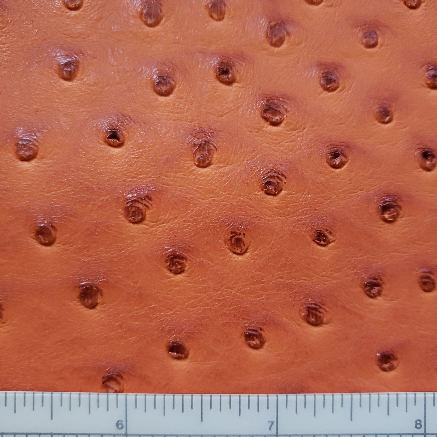 Sunkist Ostrich Faux Leather