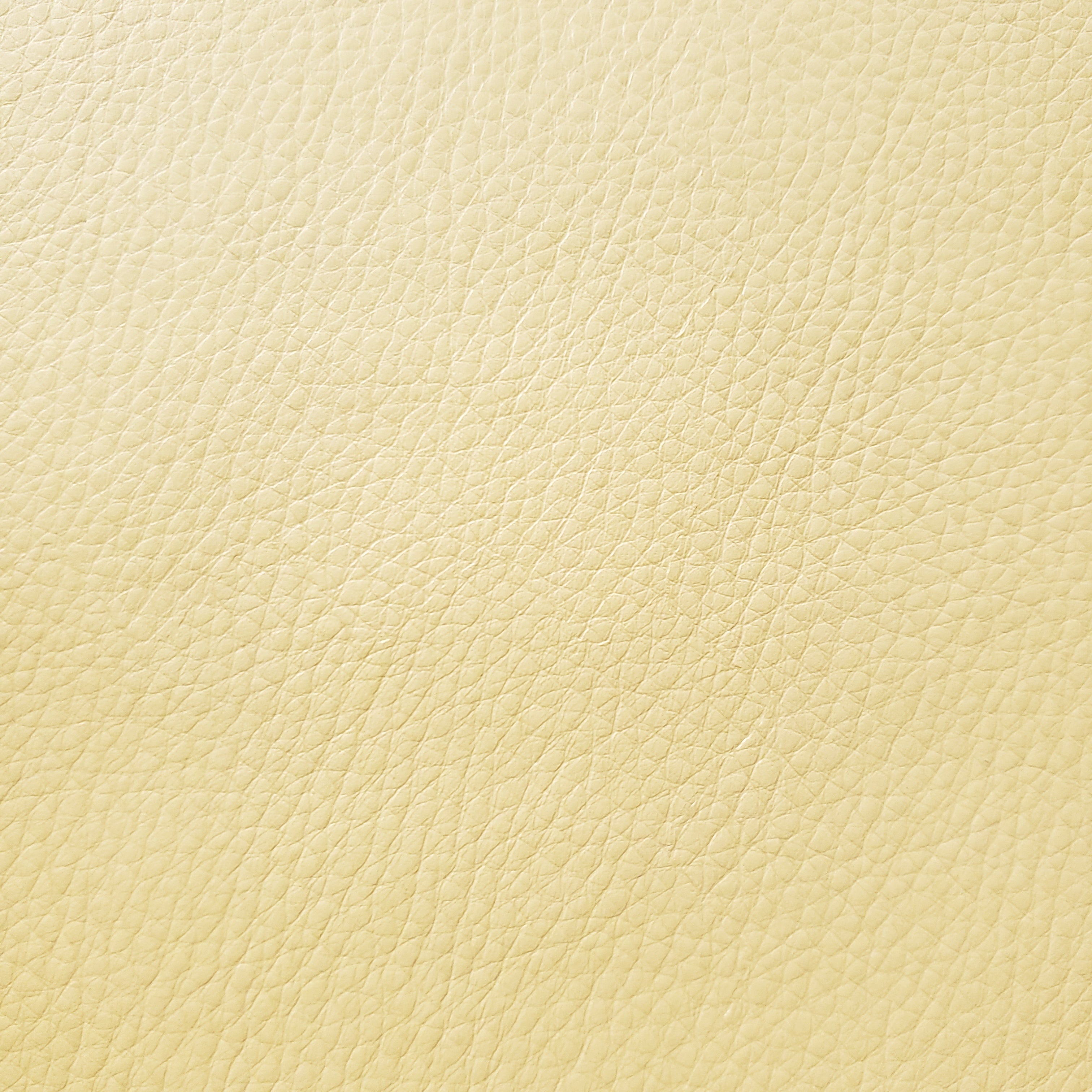 Golden Brown Stingray Faux Leather – Bo Dee-Oh!