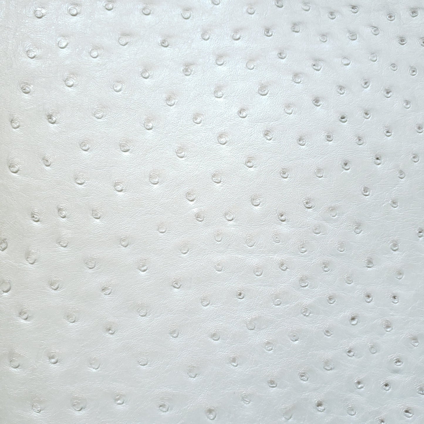 Pearly Ostrich Faux Leather