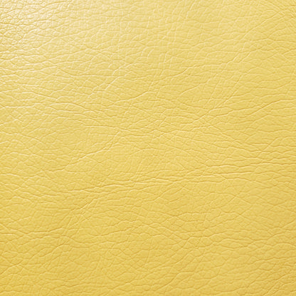 Sun-Drenched Excel Faux Leather