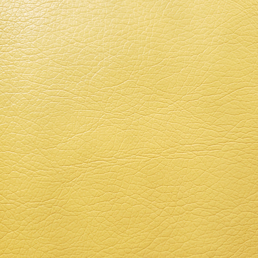 Sun-Drenched Excel Faux Leather