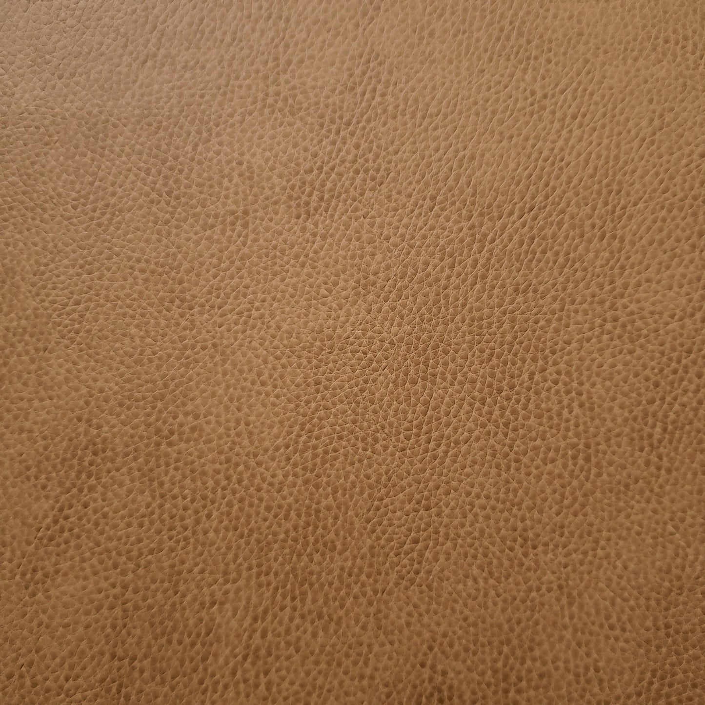 Little Dogey Faux Leather