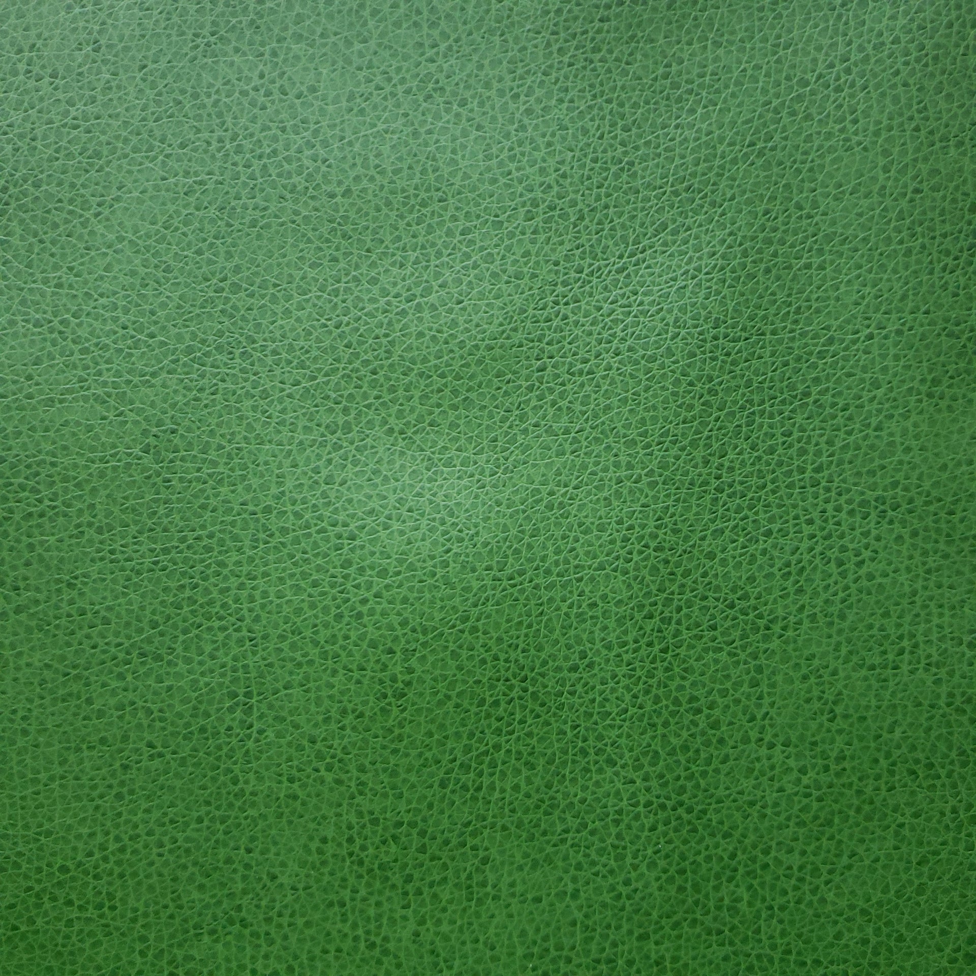 Putting Green Faux Leather