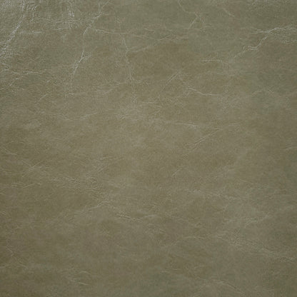 Glazed Mushroom Faux Leather