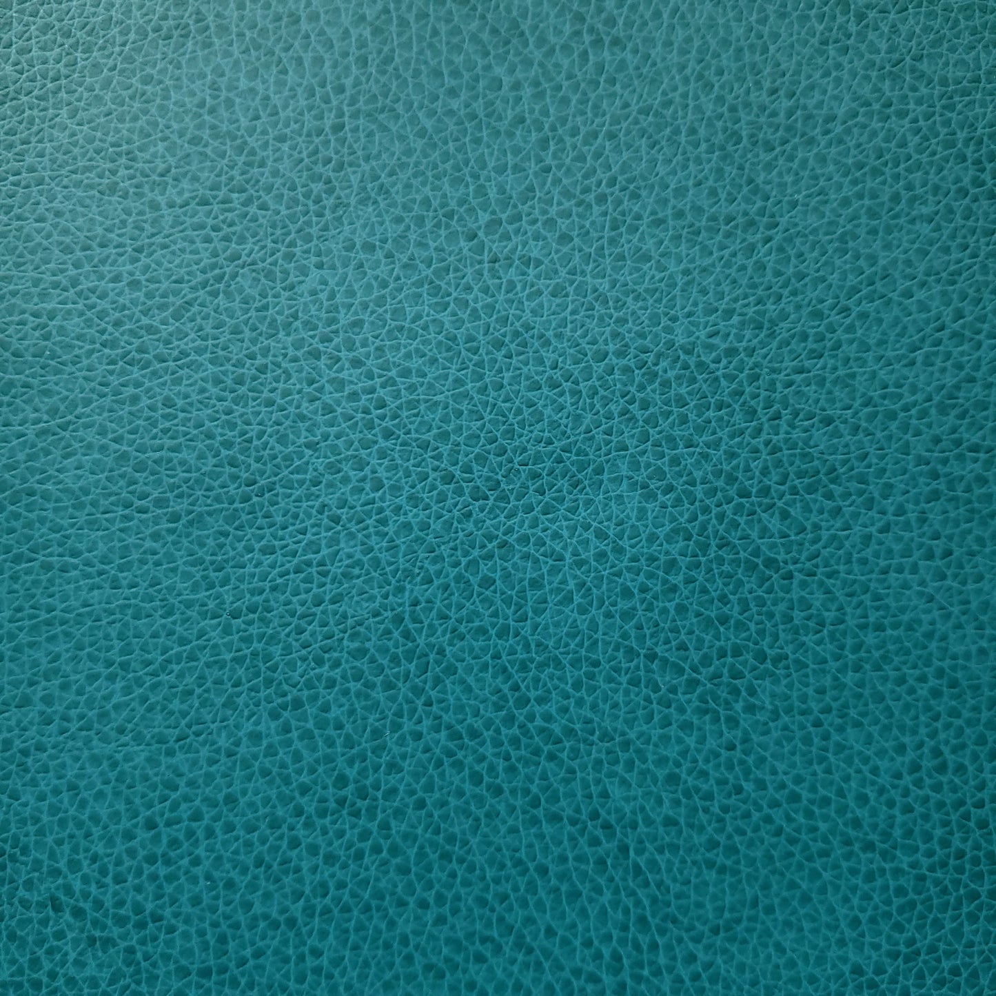 Sail the Ocean Faux Leather