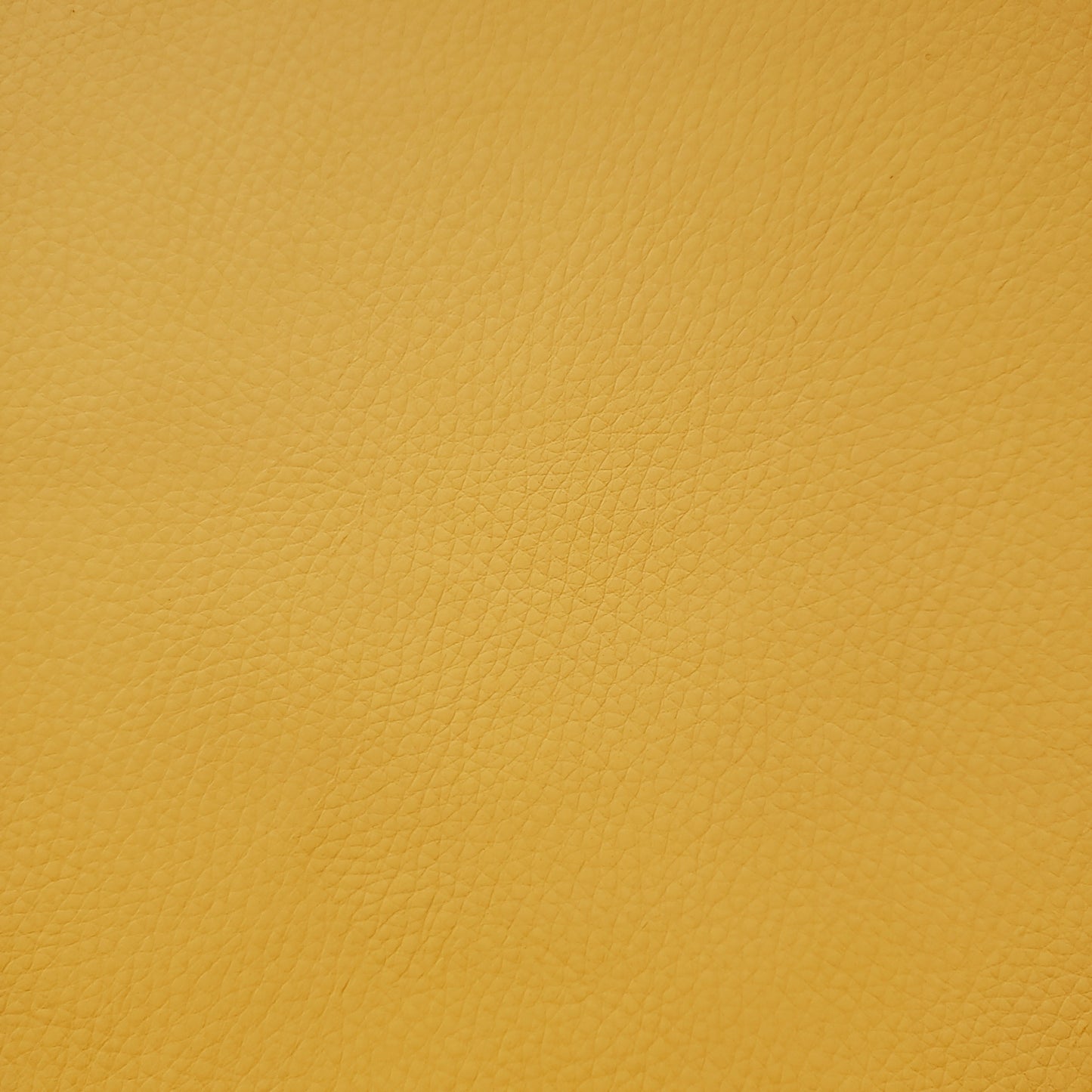 Sunny Day Enviroleather