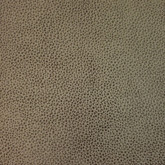 Lichen Leather