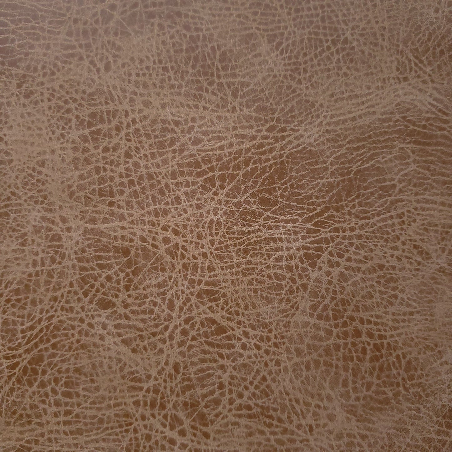 Wrangled in Chaps Faux Leather
