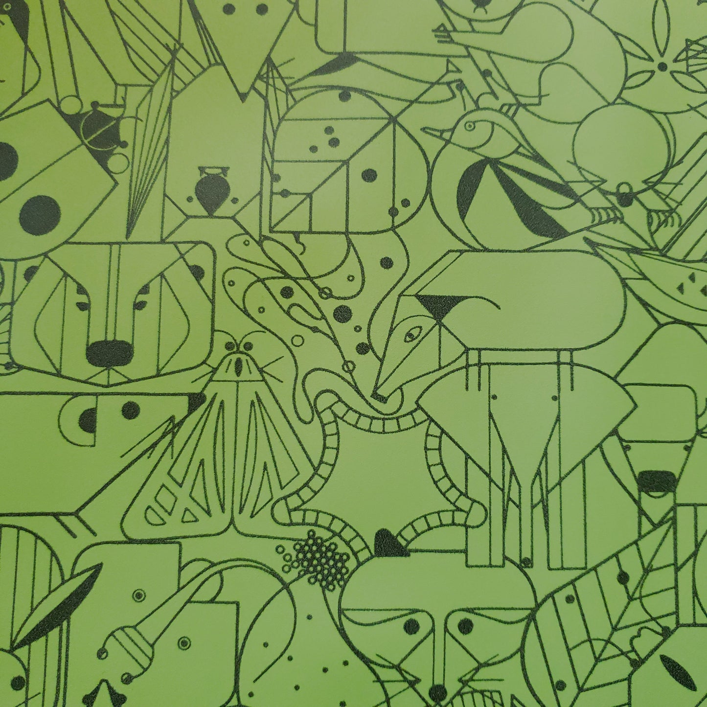 Beguiled by the Wild Green Tortoise Patterned Vinyl