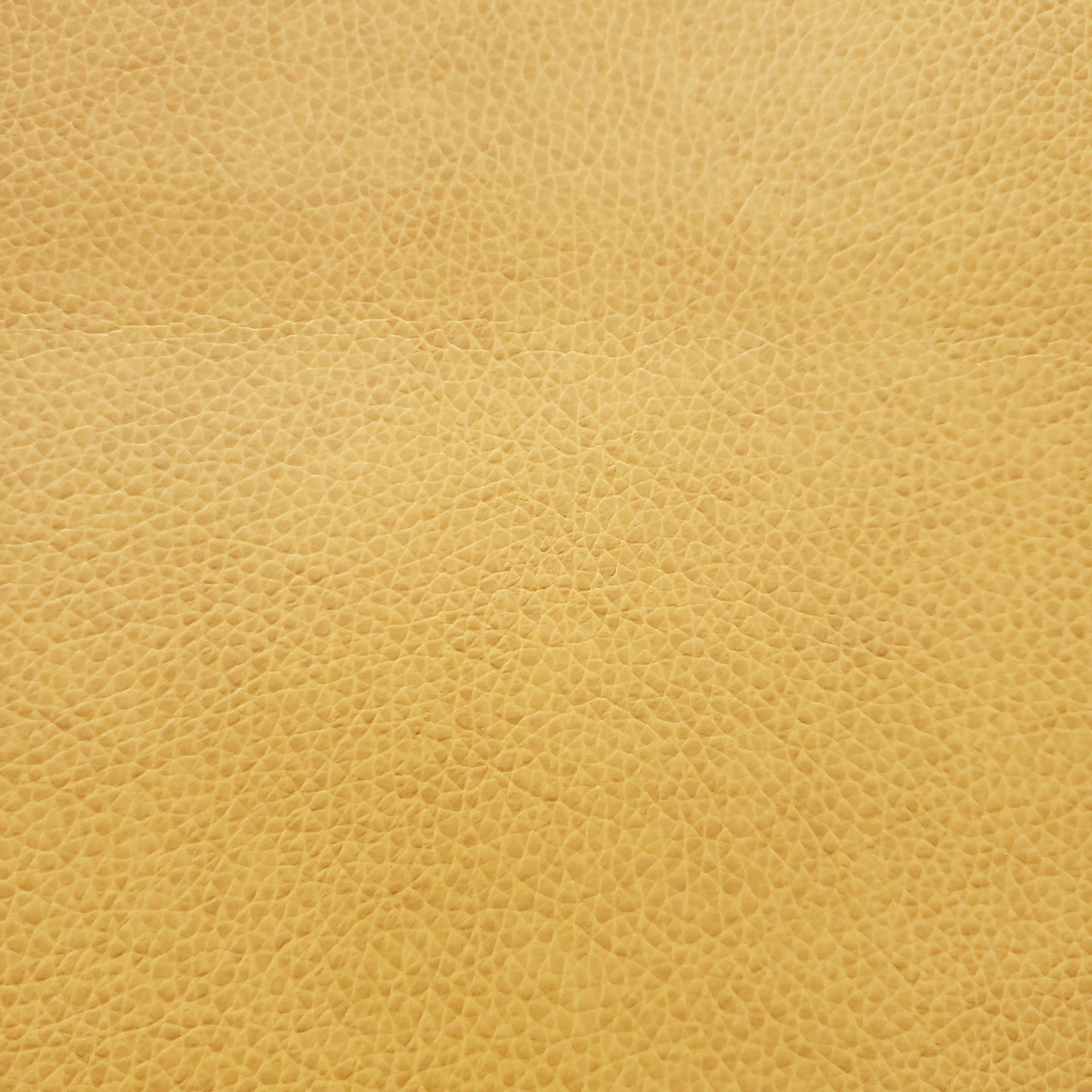 Afternoon Sun Faux Leather