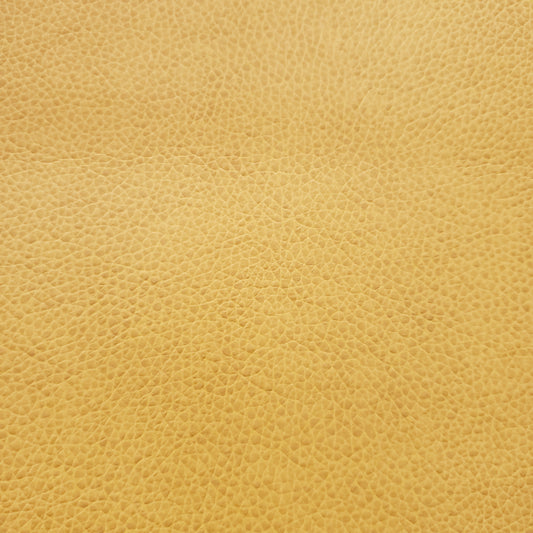Afternoon Sun Faux Leather