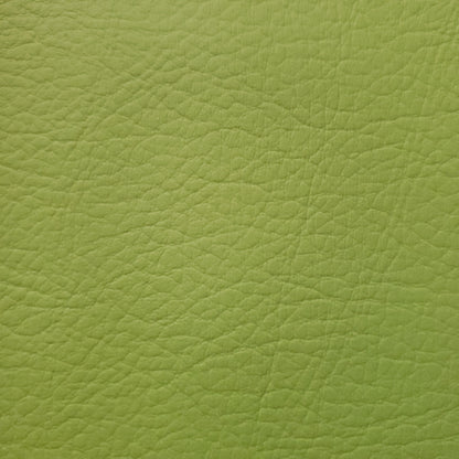 Lima Bean Faux Leather