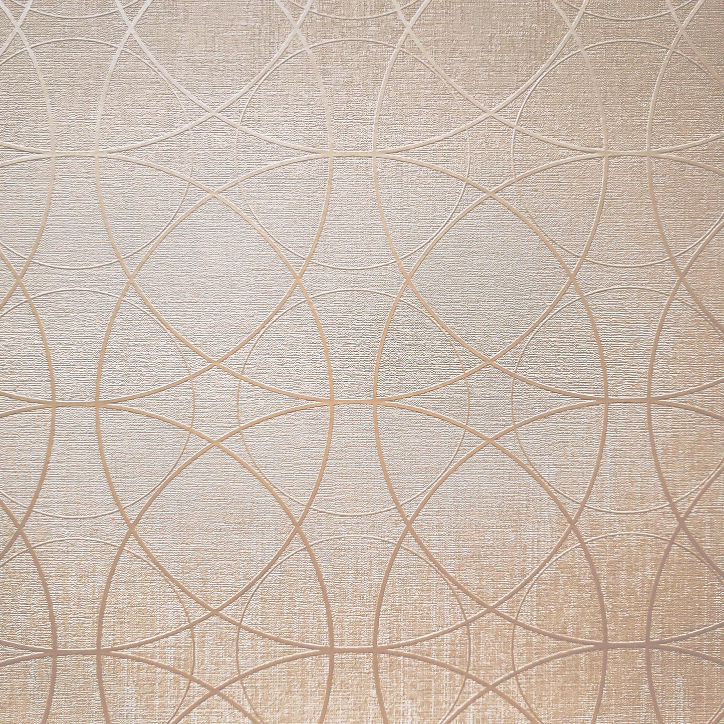 Cycling in the Sand Textured Vinyl