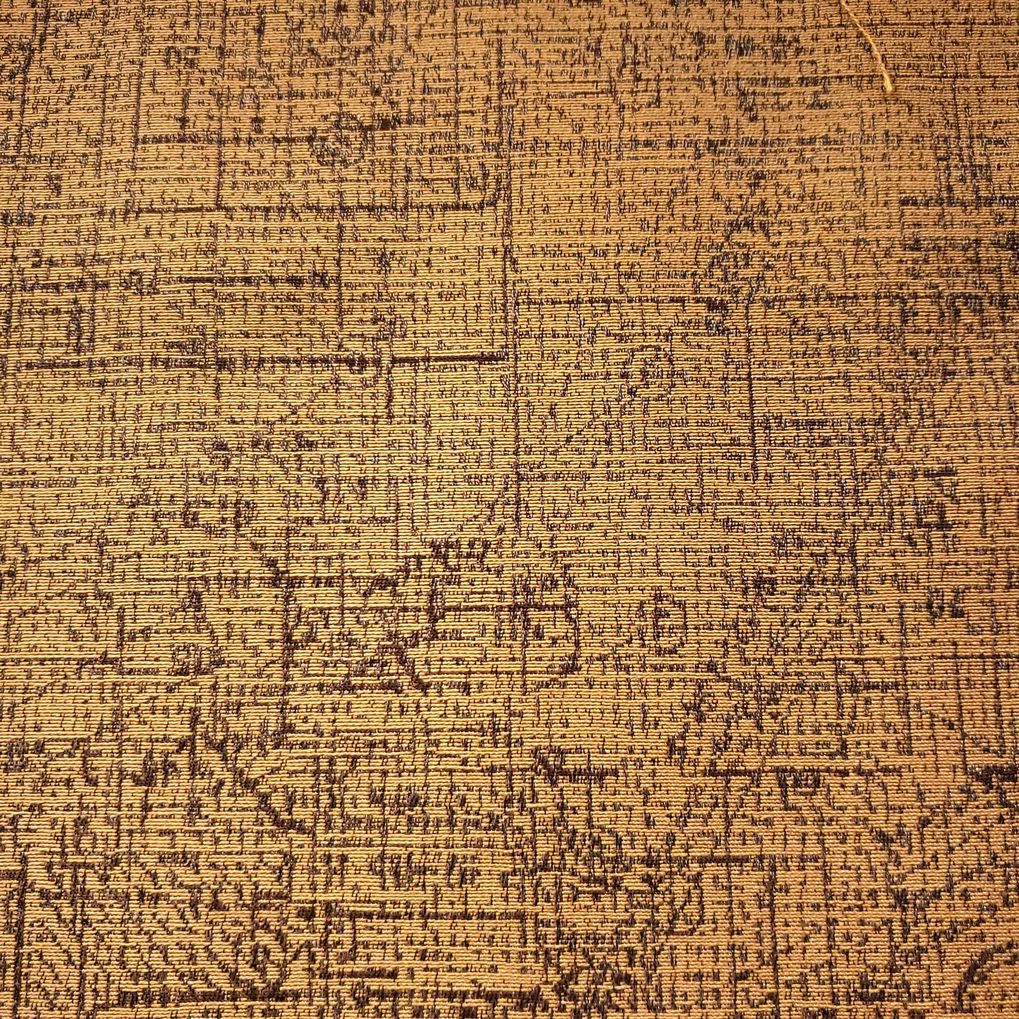Sketch in Nutmeg Fabric