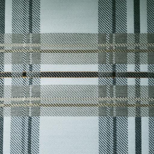 Not so Classic Plaid Fabric