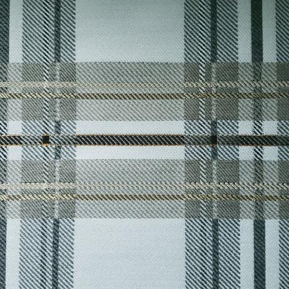 Not so Classic Plaid Fabric
