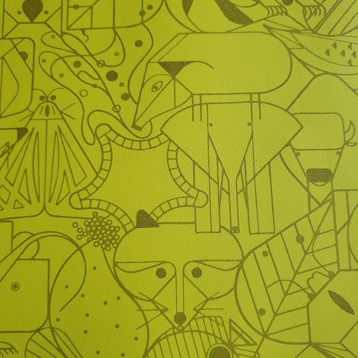 Beguiled by the Wild Tree Frog