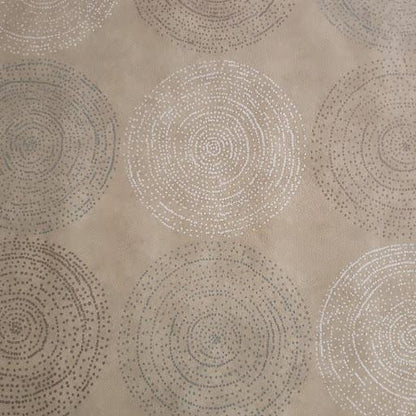 Desert Pinwheels Vinyl