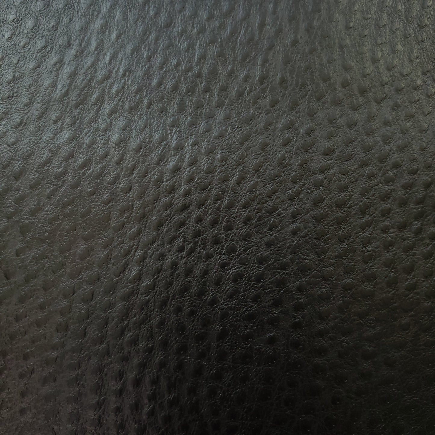 FALSE
