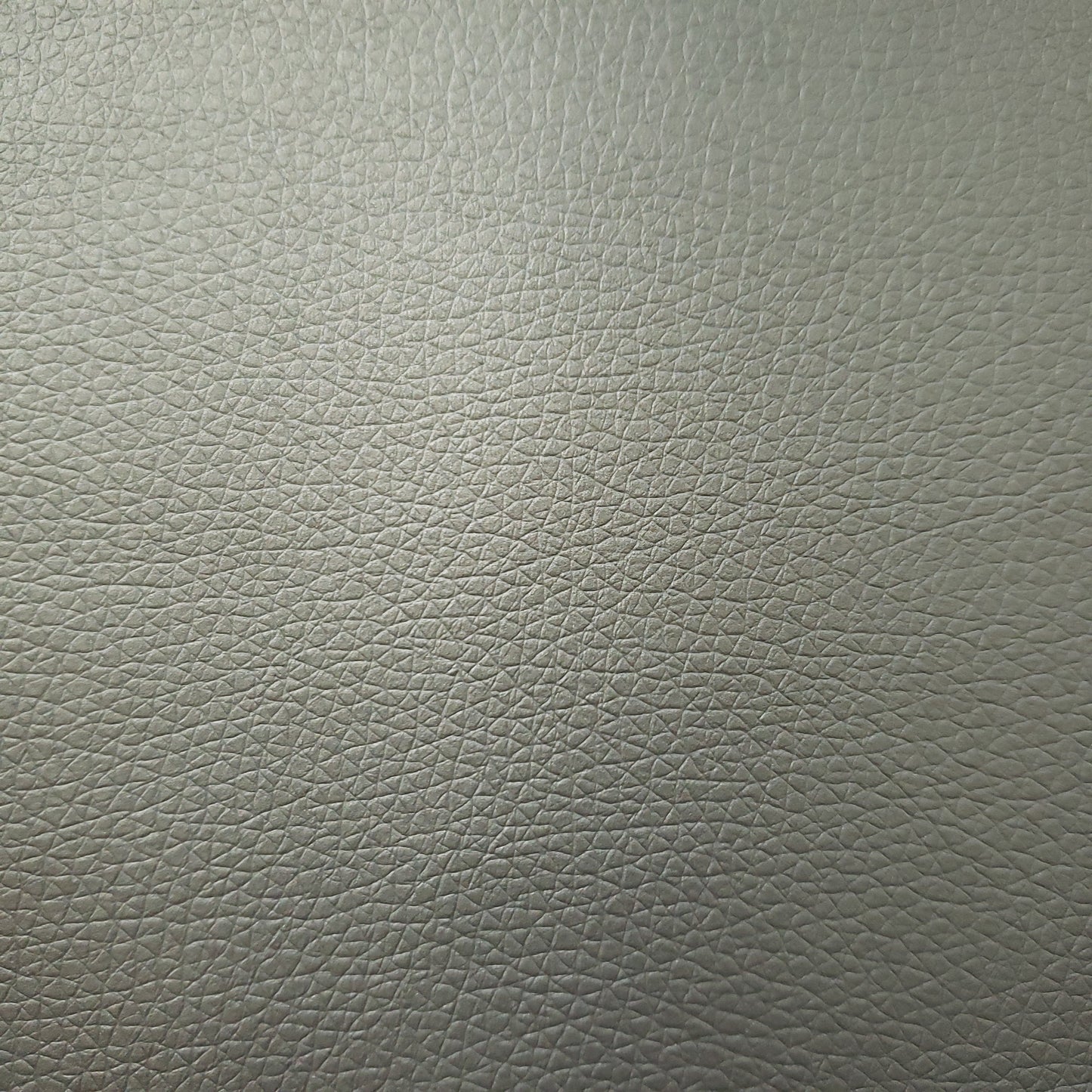 Frosted Platinum Faux Leather